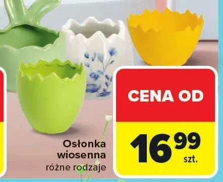 Osłonka wiosenna różne rodzaje promocja w Carrefour Market