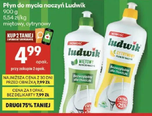 Płyn do mycia naczyń Ludwik 900g, miętowy, cytrynowy promocja w Delikatesy Centrum