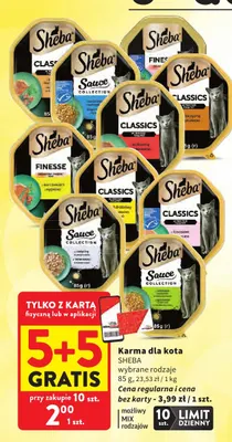 Karma dla kota Sheba promocja w Intermarche