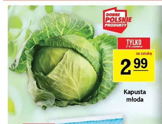 Kapusta młoda promocja w Gram Market