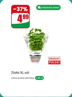 Zioła XL promocja w Dino