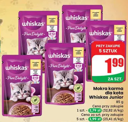 Karma dla kota junior K-classic promocja w Dino