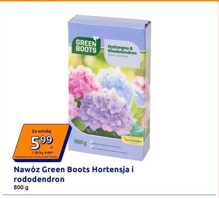 Nawóz Green Boots Hortensja i rododendron promocja w Action