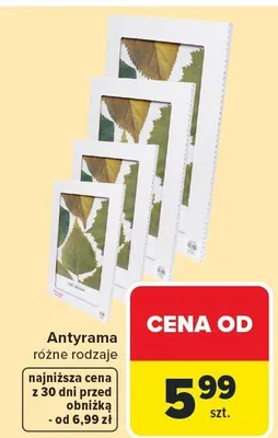 Antyrama różne rodzaje promocja w Carrefour