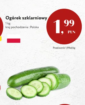 Ogórek szklarniowy polski promocja w Market Point