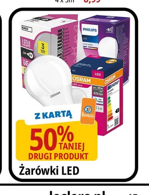 Żarówki LED promocja w Leclerc