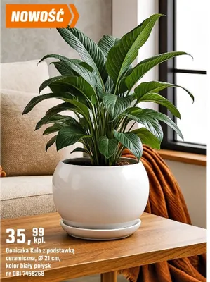 Doniczka Kula z podstawką ceramiczna, Ø 21 cm, kolor biały połysk OBI promocja w OBI