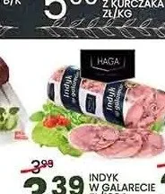 Indyk w galarecie Haga promocja w Wafelek