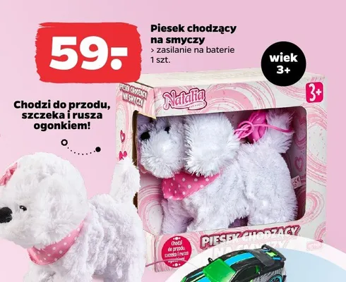 Piesek chodzący na smyczy promocja w Netto