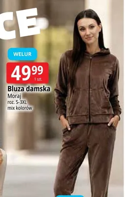 Bluza damska Moraj promocja w Leclerc