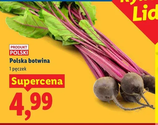 Botwina polska promocja w Lidl