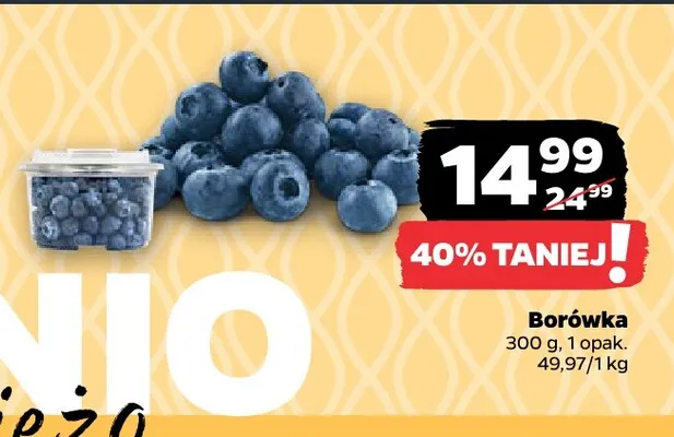 Borówka promocja w Netto
