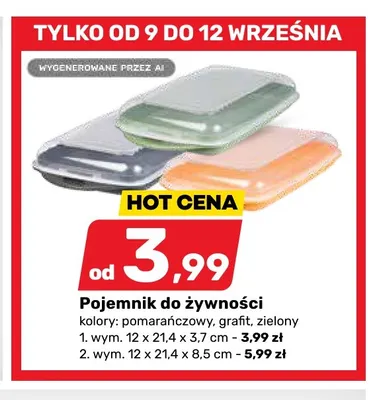 Pojemnik do żywności 12x21,4x3,7 cm promocja w Bricomarche