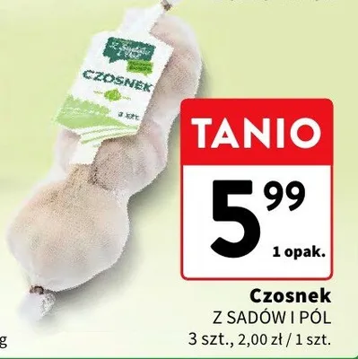 Czosnek promocja w Intermarche