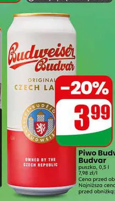 Piwo Budweiser Budvar puszka promocja w Dino