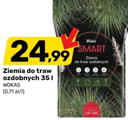 Ziemia do traw ozdobnych 35 l promocja w Bricomarche