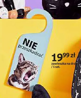 Zawieszka na drzwi Purrrfect School promocja w Empik