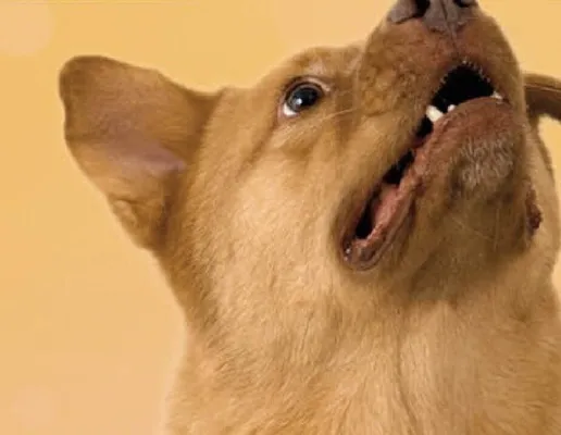 Gazetka, strona 37 promocja w Delikatesy Centrum