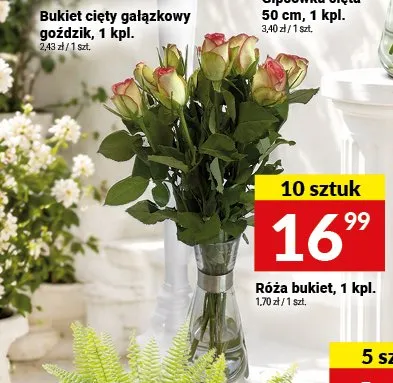 Róża bukiet 10-pak promocja w Twój Market
