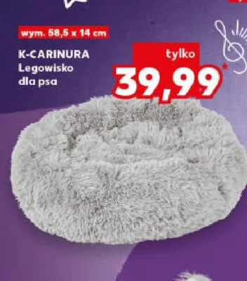 Legowisko dla psa promocja w Kaufland