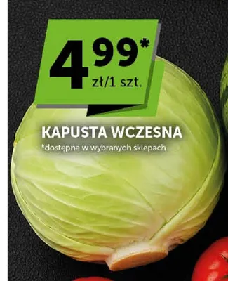 Kapusta wczesna promocja w Euro Sklep