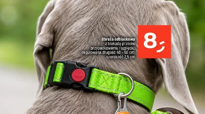 Obroża odblaskowa z blokadą przeciw przypadkowemu rozpięciu promocja w Dealz