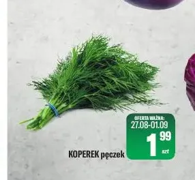 Koperek pęczek promocja w Tomi Markt