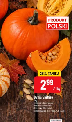 Dynia Spitfire promocja w POLOmarket
