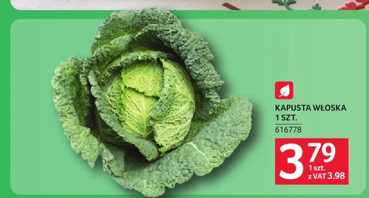 Kapusta włoska promocja w Selgros