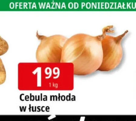 Cebula młoda w łusce promocja w Leclerc