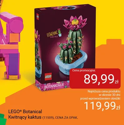 Klocki LEGO Botanical Kwitnący kaktus 11509 promocja w Smyk