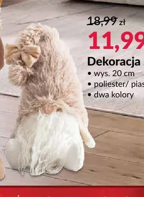 Dekoracja skrzat promocja w Salony Agata
