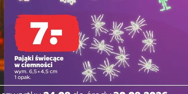 Pająki świecące w ciemności promocja w Netto