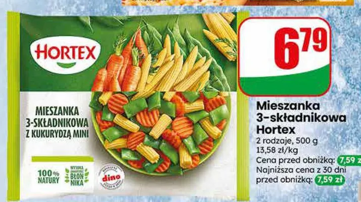 Mieszanka 9-składnikowa Hortex promocja w Dino