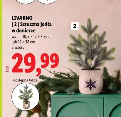 Sztuczna jodła w doniczce Livarno promocja w Lidl