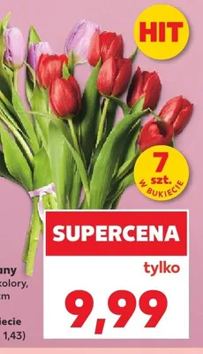 Tulipany dł. 35cm promocja w Kaufland