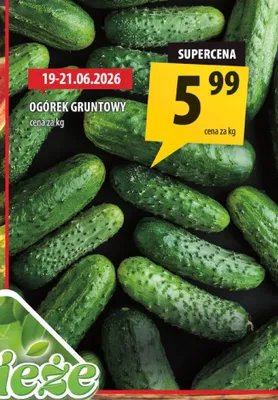 Ogórek gruntowy promocja w Arhelan
