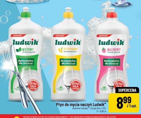Płyn do mycia naczyń miętowy promocja w POLOmarket
