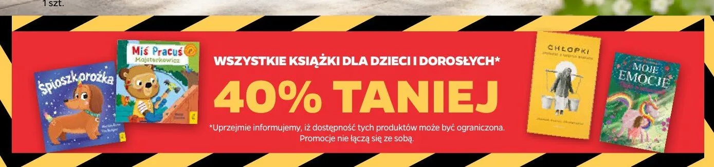 Książki dla dzieci i dorosłych promocja w Netto