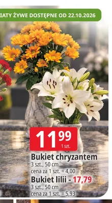 Bukiet lilii 3 szt. 50 cm promocja w Leclerc
