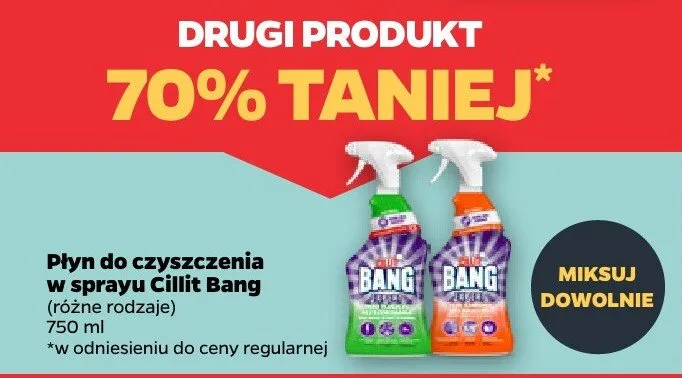 Płyn do czyszczenia w sprayu promocja w Netto