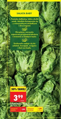 Sałata baby 4-pak promocja w Biedronka