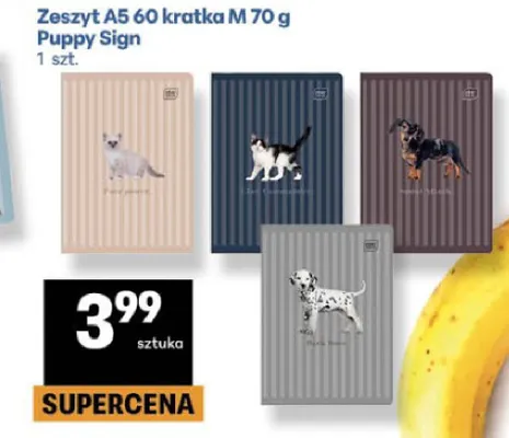 Zeszyt A5 60 kratka M 70 g Puppy Sign promocja w Delikatesy Centrum