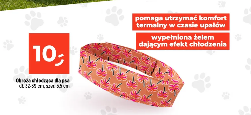 Obroża chłodząca dla psa promocja w Dealz