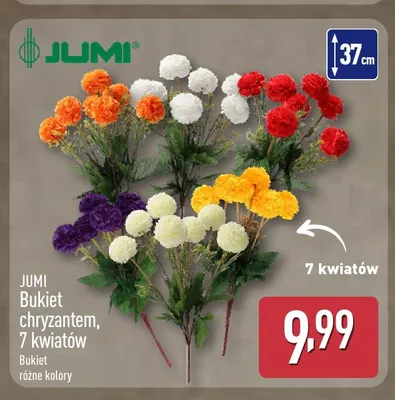 Bukiet chryzantem Jumi 7 kwiatów 37 cm promocja w Aldi