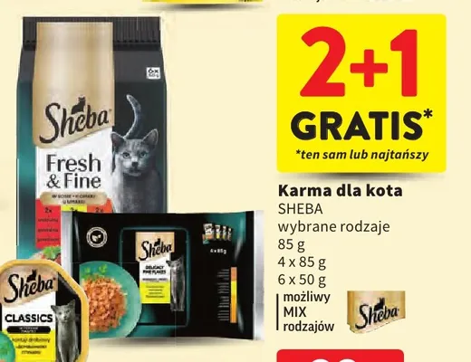 Karma dla kota Sheba promocja w Intermarche