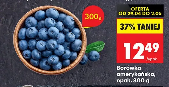 Borówka amerykańska promocja w Biedronka