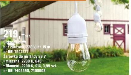 Żarówka do girlandy 36V mleczna 2200K 645 filament 2200K 5W promocja w OBI