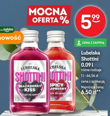 Shottini Spicy Raspberry różne rodzaje promocja w Żabka