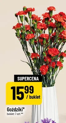 Goździki bukiet 7szt. promocja w POLOmarket
